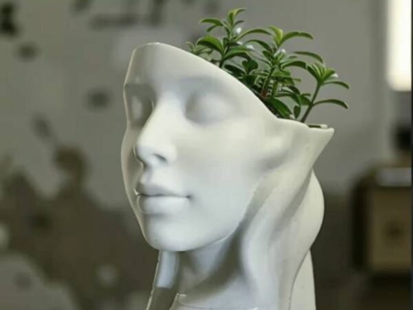 Deco POT - Sophia - Elegant Feamle VALENTINES DAY