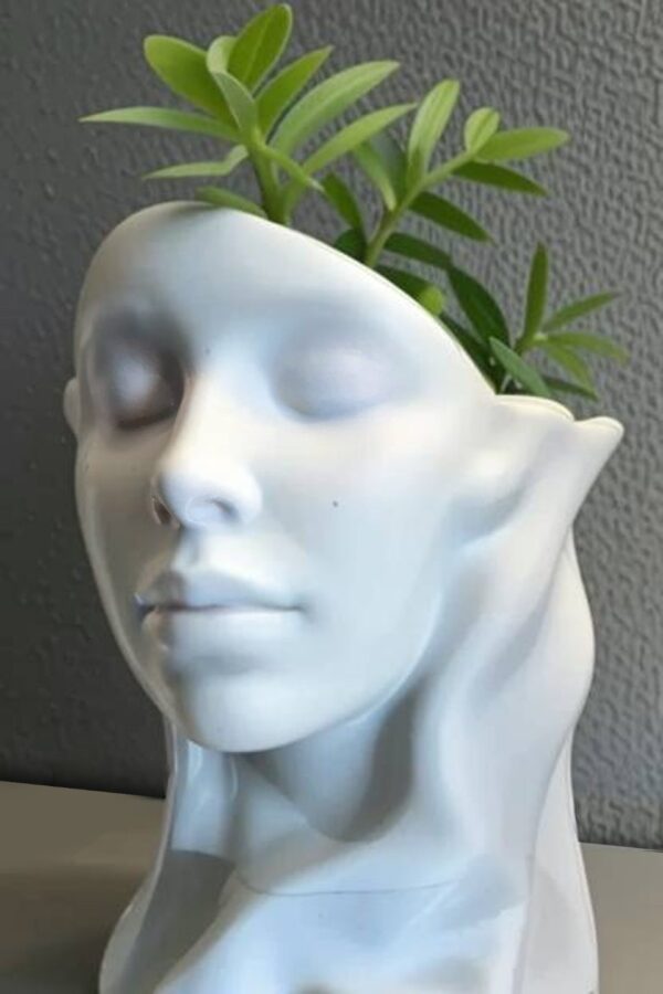 Deco POT - Sophia - Elegant Feamle VALENTINES DAY