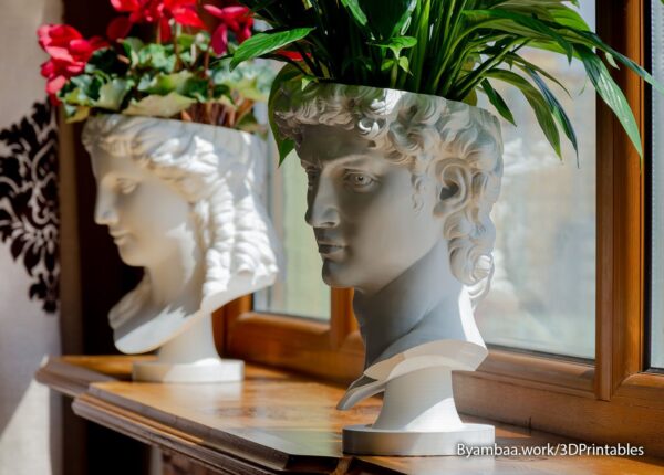 2025/12/1000018745.jpg David planter