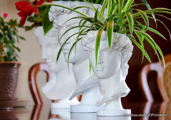 2025/12/1000018746.jpg David planter