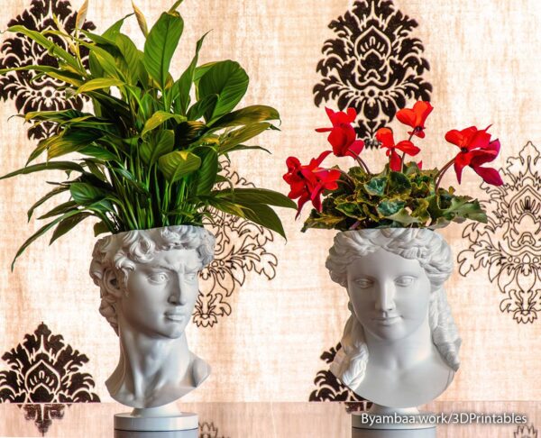 2025/12/1000018748.jpg David planter