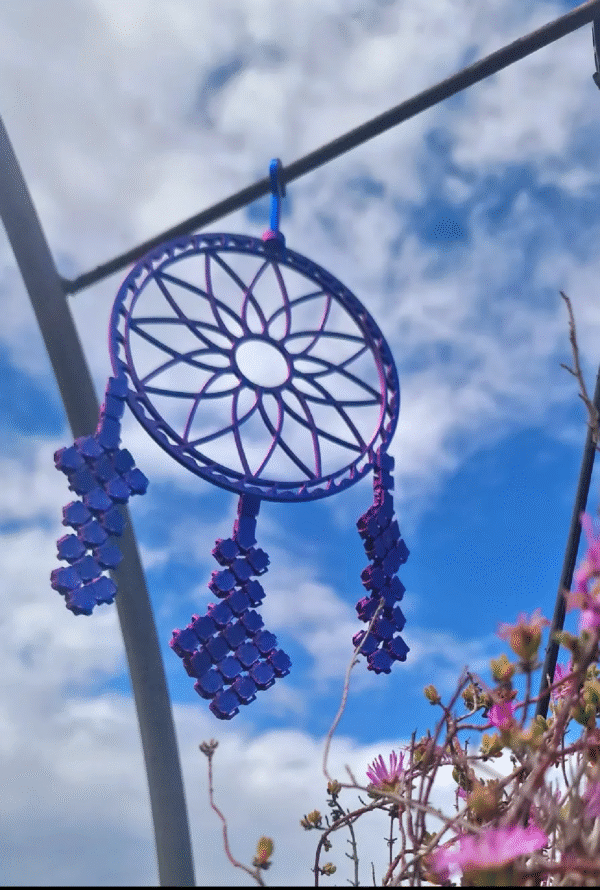 Screenshot_20251212-171004_Bambu Handy dream catcher