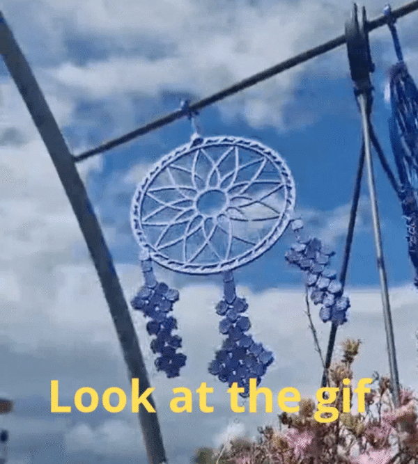 Screenshot_20251212-171014_Bambu Handy dream catcher