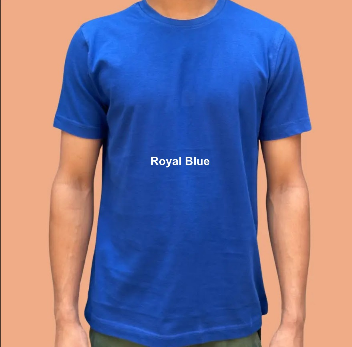 2026/05/1000094396.png regular fit true bio wash fabric round neck t shirt