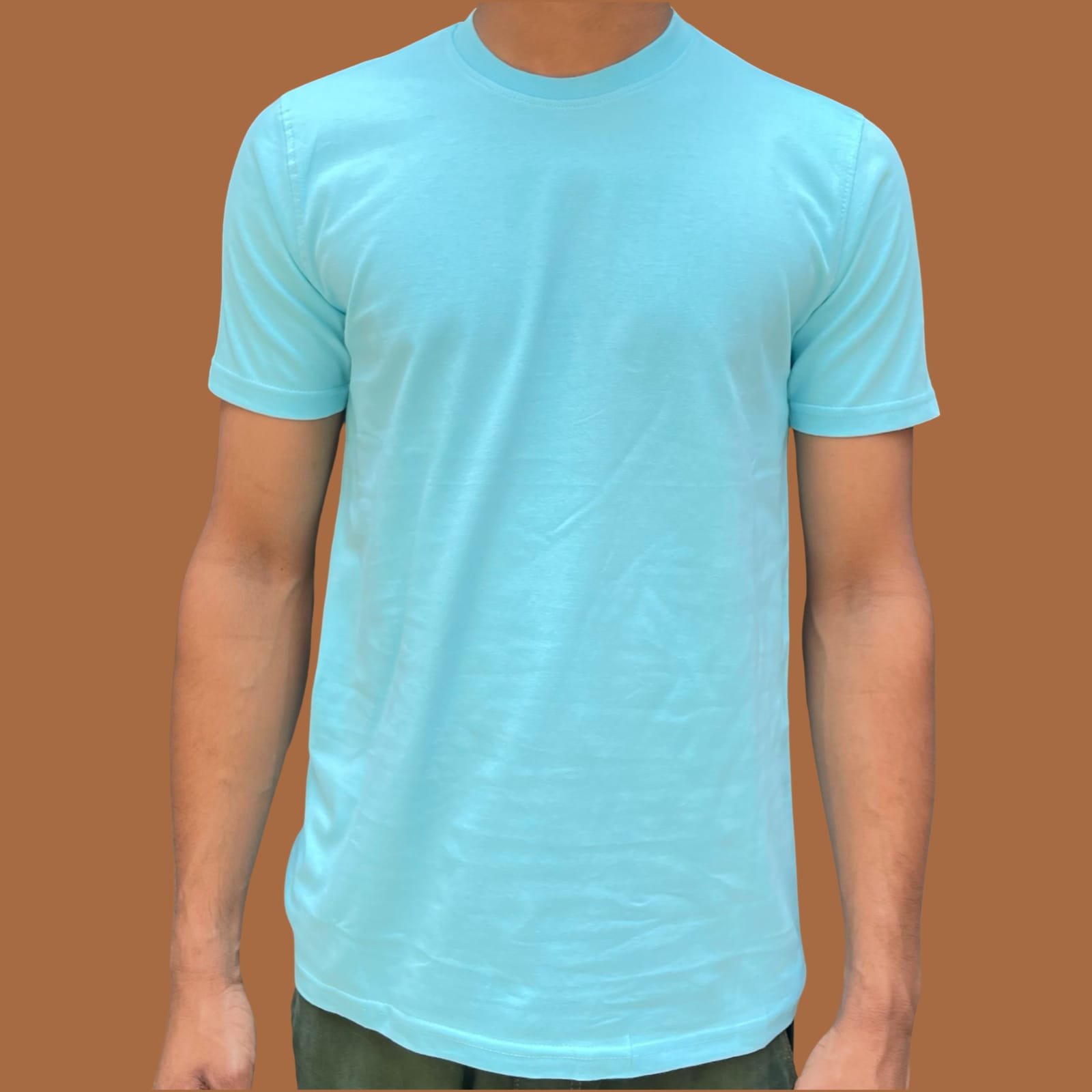 2026/05/1000094504.jpg regular fit true bio wash fabric round neck t shirt
